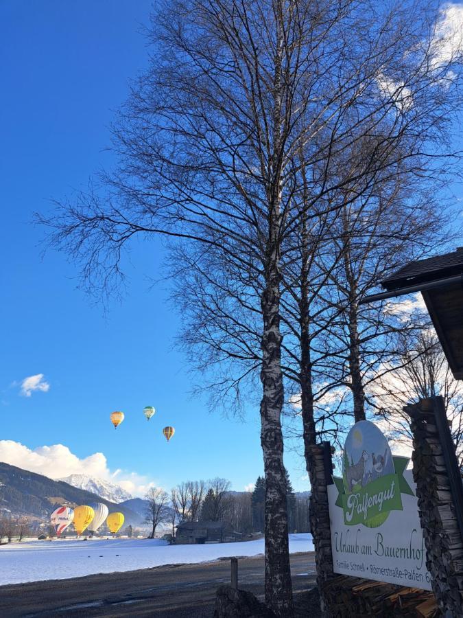 Palfengut Apartment Altenmarkt im Pongau