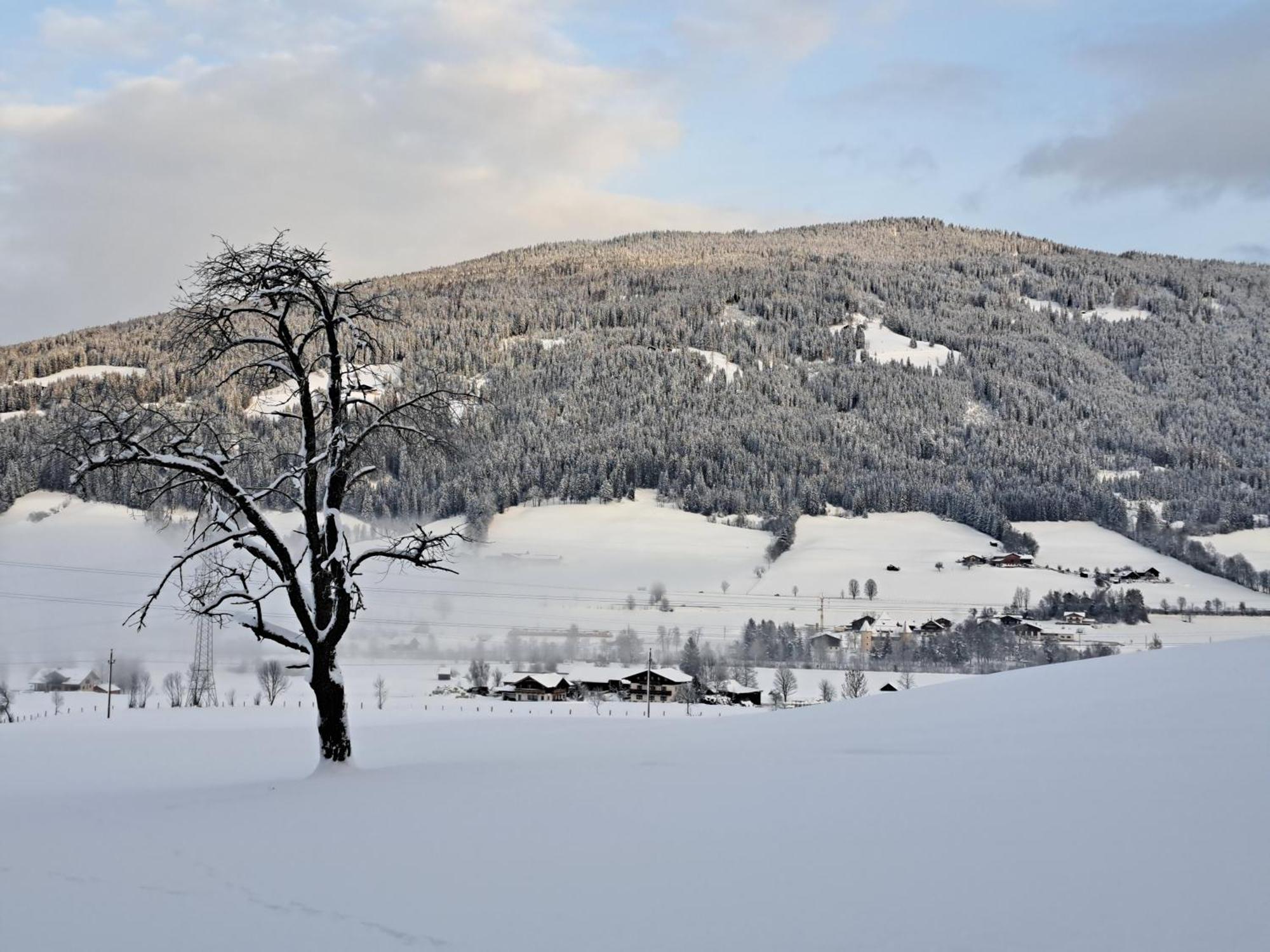 Palfengut Altenmarkt im Pongau